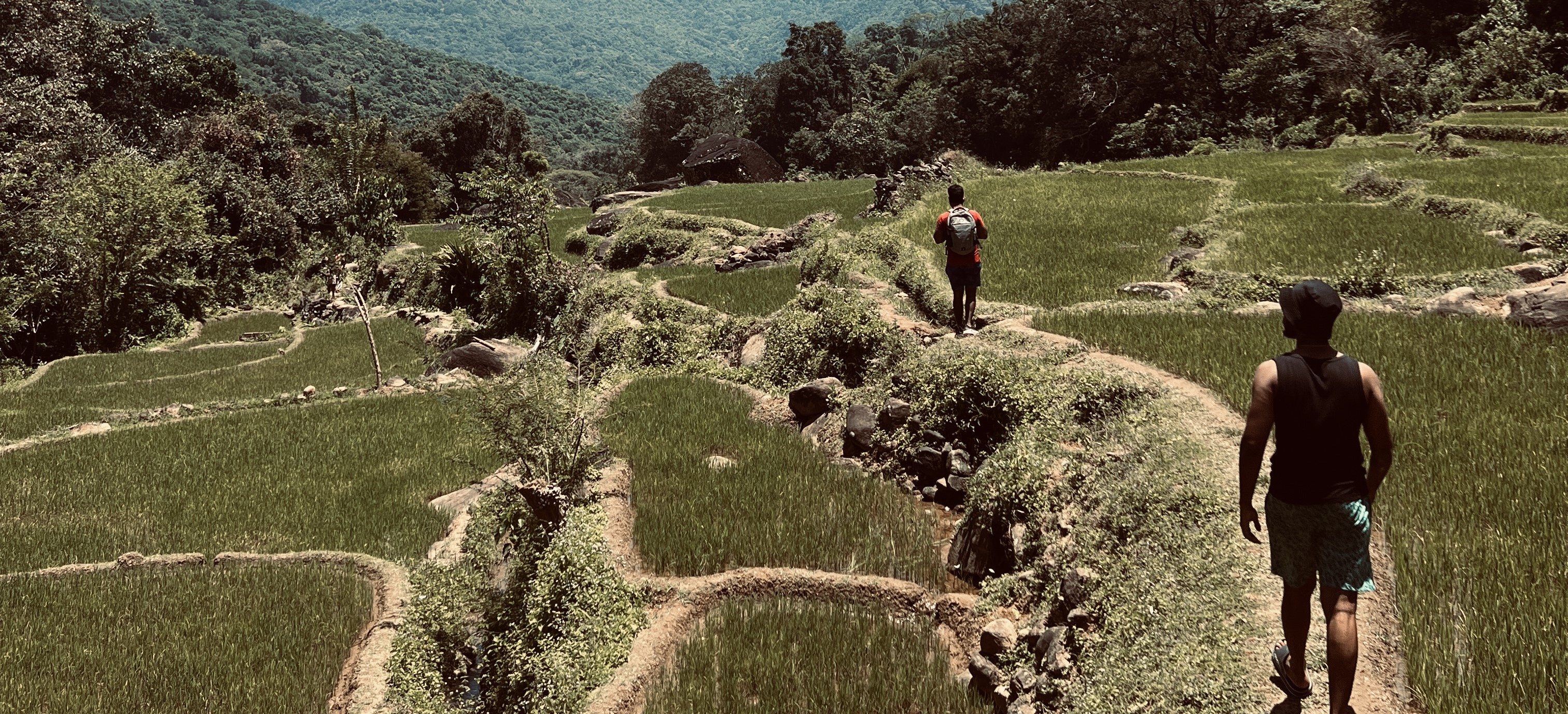 Traveling Image